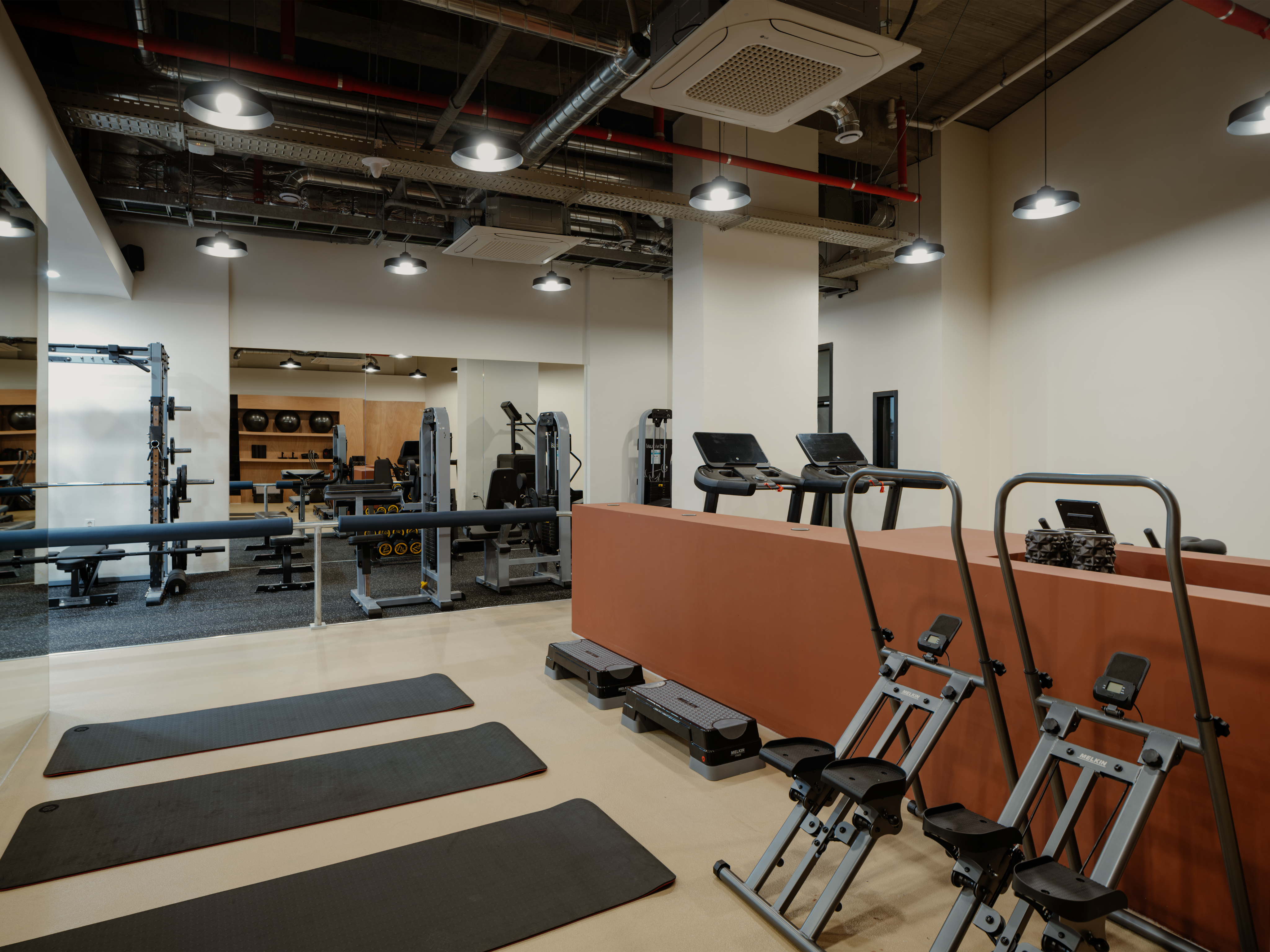 An illustrative sketch of a flower