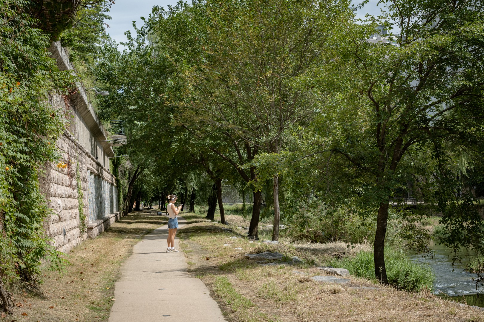 An illustrative sketch of a flower